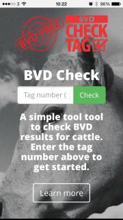 Responsive website design BVD Check home page on a mobile phone